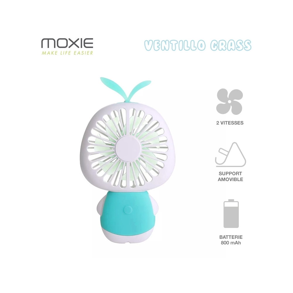 Mini Ventilateur à 2 Vitesses, Batterie Intégrée 800mAh, Ventilateur Portatif avec Support Bureau, Design Flower - Bleu