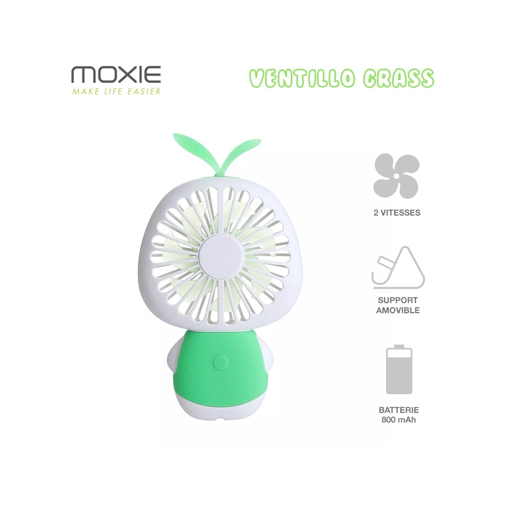 Mini Ventilateur à 2 Vitesses, Batterie Intégrée 800mAh, Ventilateur Portatif avec Support Bureau, Design Flower - Vert