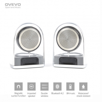 Enceinte Bluetooth, OVEVO...