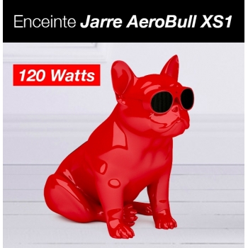 Enceinte Jarre AeroBull XS1...
