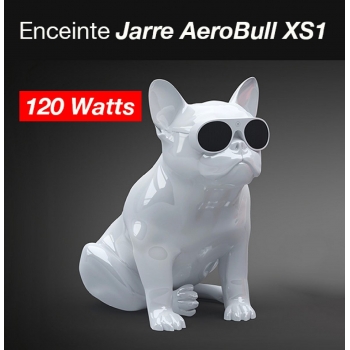 Enceinte Jarre AeroBull XS1...