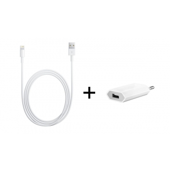 Chargeur secteur entrée USB + câble compatible iPhone 5 - Blanc