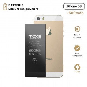 Batterie pour iPhone 5S...