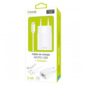 Pack chargeur secteur 2.4A...