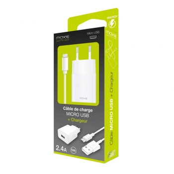 Chargeur secteur 1 USB 2.4A blanc